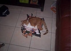 Enlace a El mejor luchador de todos