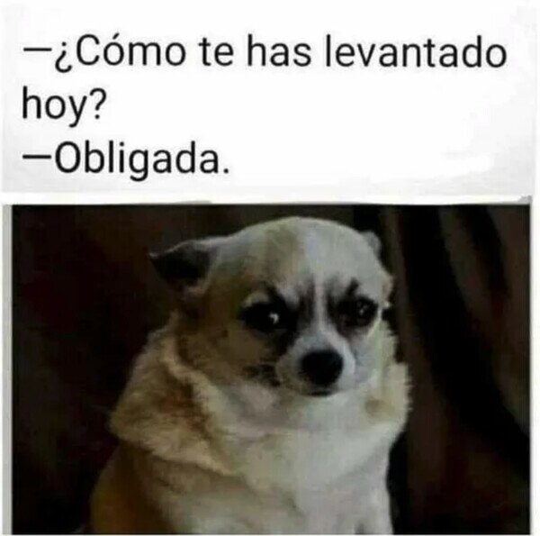 Otros - Y eso no me gusta