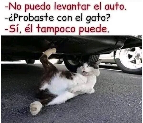 Otros - Lo intentó con todas sus fuerzas