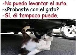 Enlace a Lo intentó con todas sus fuerzas