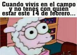 Enlace a La soledad es muy mala