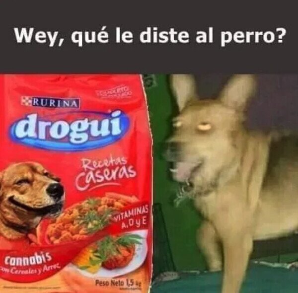 Meme_otros - Mi perro está raro