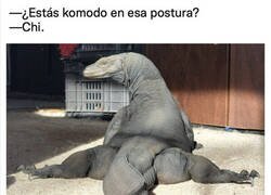 Enlace a Dragón inkómodo