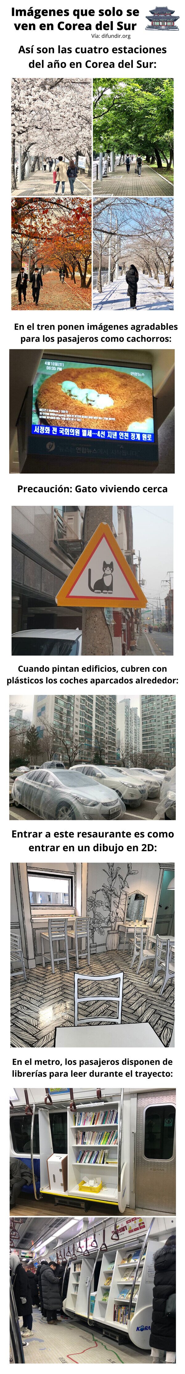 Meme_otros - Imágenes que solo se ven en Corea del Sur