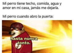 Enlace a Siempre intenta escapar