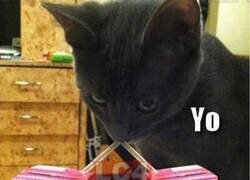 Enlace a No necesito mucho para expresar mis emociones