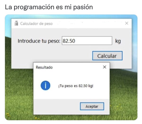 Otros - El programador