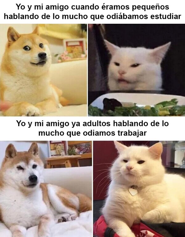 Meme_otros - La cuestión es quejarse