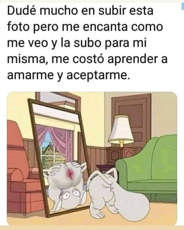 Meme_otros - Un culo más en Instagram