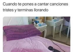 Enlace a Creo que aquí no se ha cantado Karaoke...