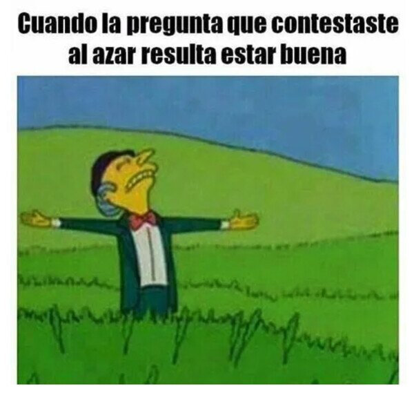 Meme_otros - El maravilloso azar
