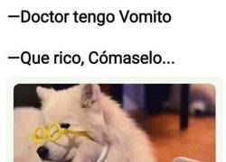 Enlace a El consejo del DogTor