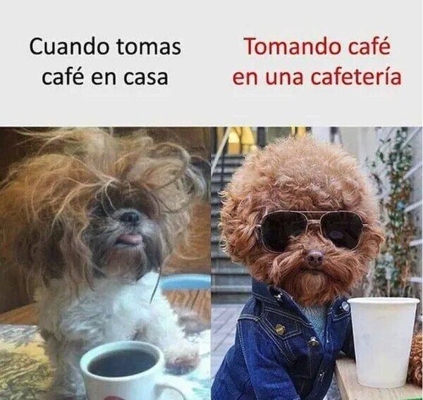 Meme_otros - Café y Postureo
