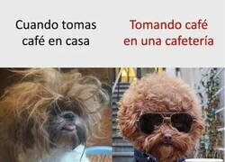 Enlace a Café y Postureo