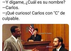 Enlace a ¿Cómo lo descubrió?