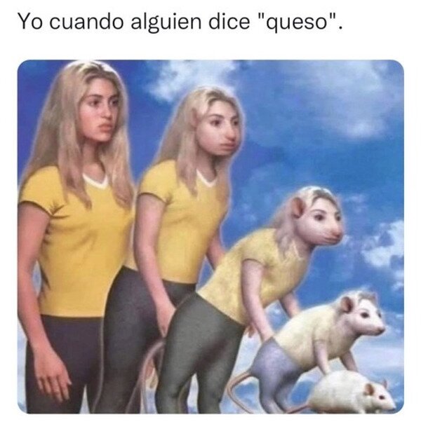 Meme_otros - ¿Queso? ¿dónde?