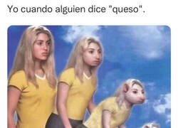 Enlace a ¿Queso? ¿dónde?