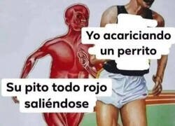 Enlace a Apareció de repente