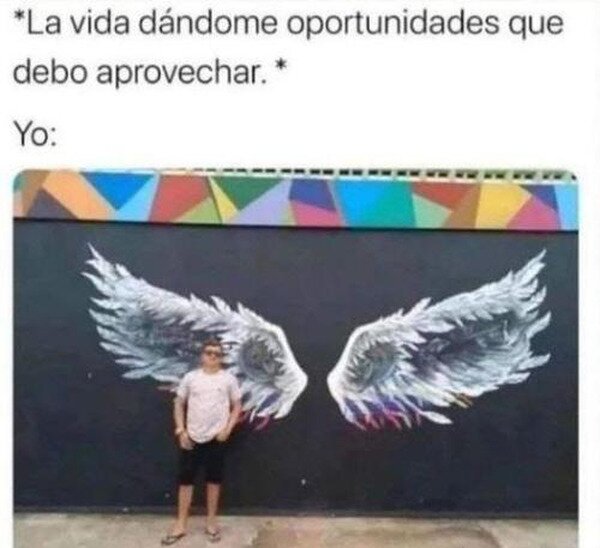 Meme_otros - No aprovecho las oportunidades