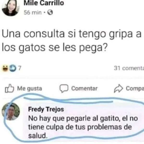 Meme_otros - No lo pagues con el gato