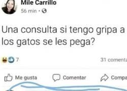 Enlace a No lo pagues con el gato