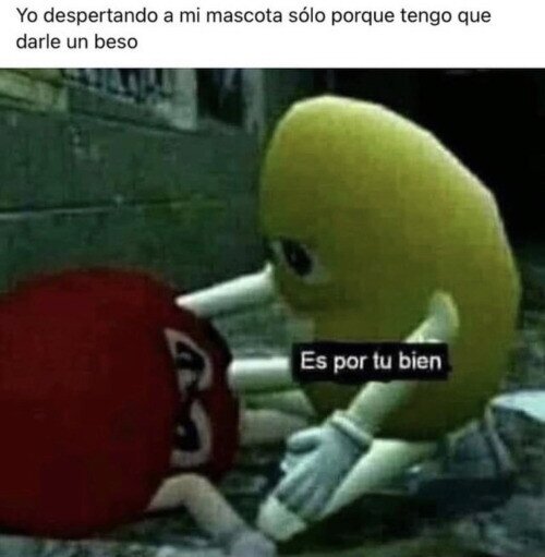 Meme_otros - Es importante