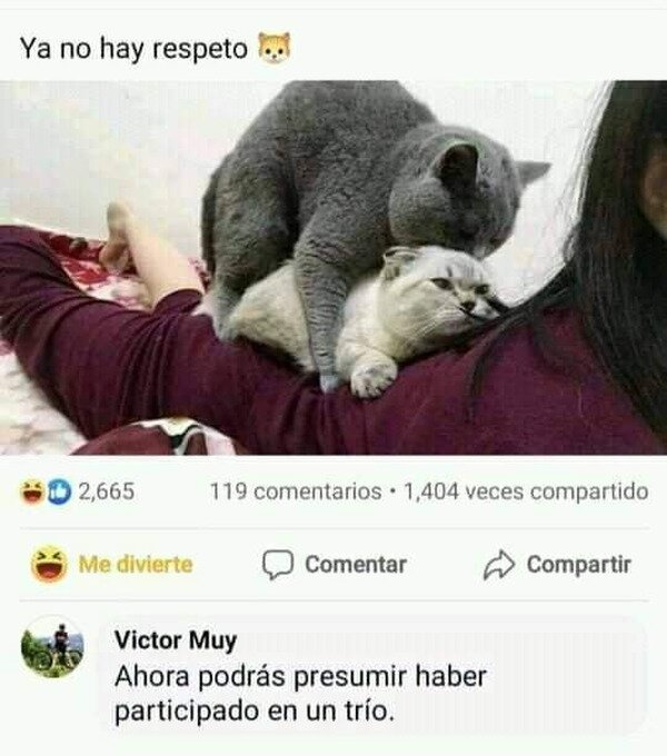 Meme_otros - Logro desbloqueado