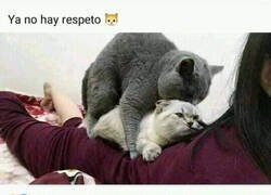 Enlace a Logro desbloqueado