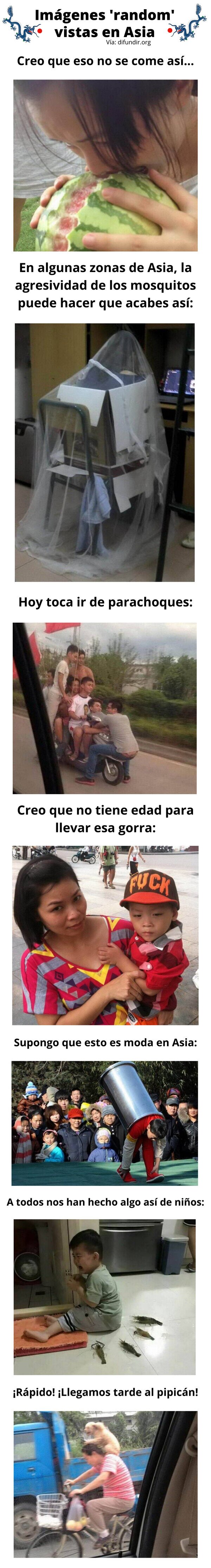 Meme_otros - Imágenes 'random' vistas en Asia
