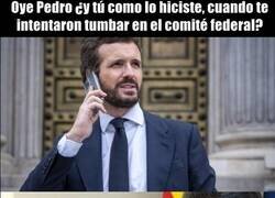 Enlace a Cuando precisas de los consejos de un sabio maestro...