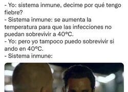 Enlace a Mi sistema inmune no había caído en ese detalle