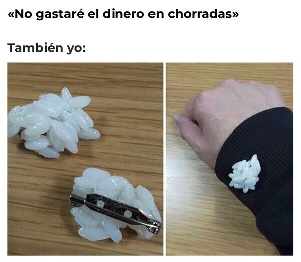 Otros - Sí, un pin de arroz