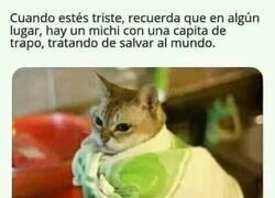 Enlace a Mi héroe favorito