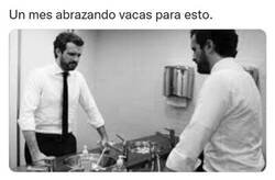 Enlace a Tanto para nada