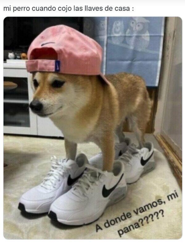 Meme_otros - ¿Qué aventuras nos esperan hoy?