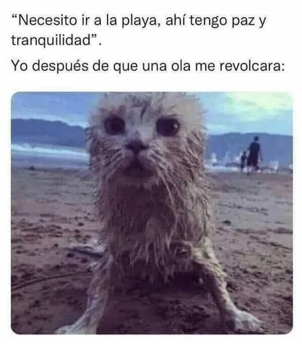 Meme_otros - Necesito la playa