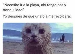 Enlace a Necesito la playa