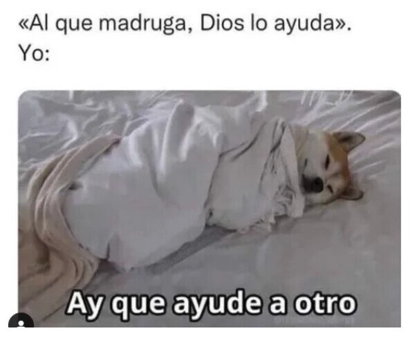 Meme_otros - Ya me levantaré sin su ayuda