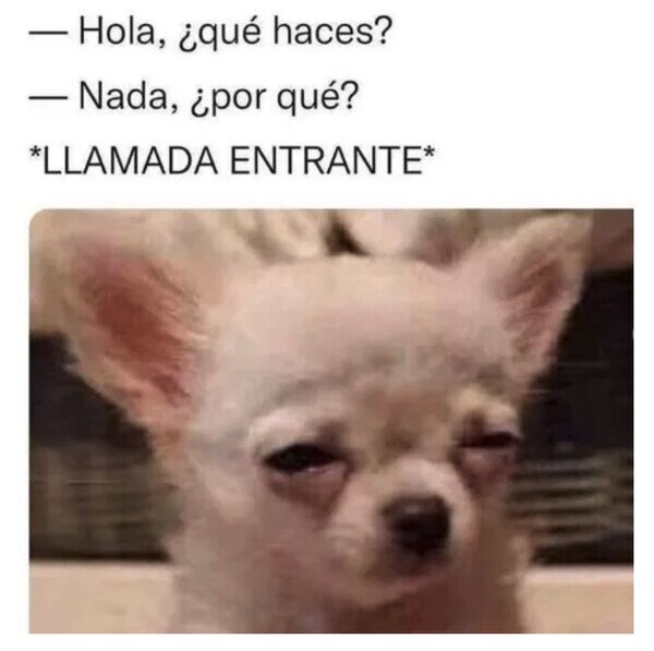 Meme_otros - No tendría que haber contestado...