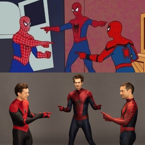 Meme_otros - Hicieron realidad el meme