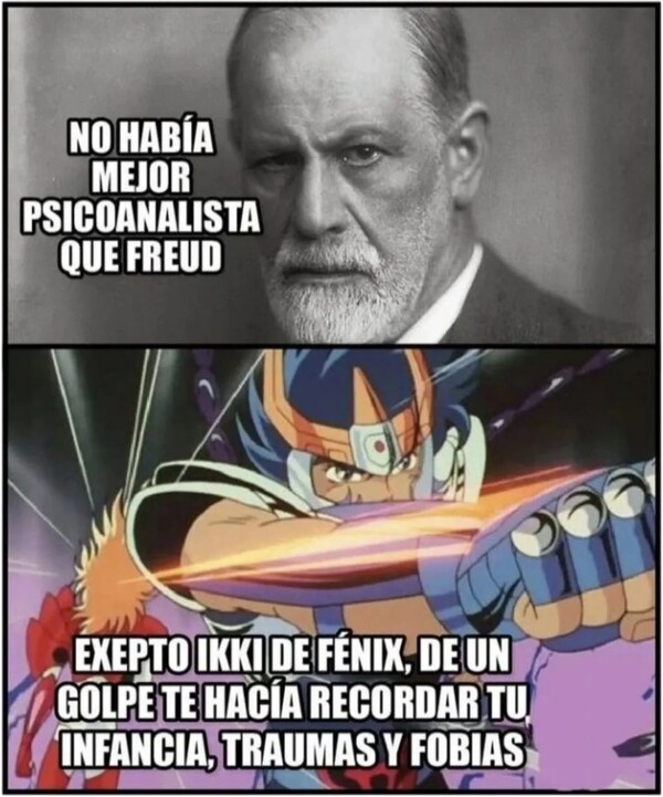 Meme_otros - El mejor psicoanalista que conocí