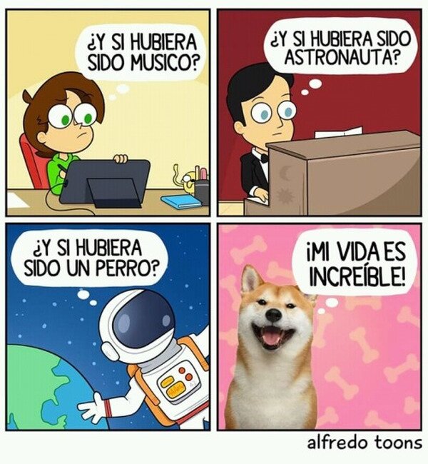 Meme_otros - La mejor vida