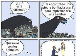 Enlace a No somos tan diferentes