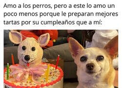 Enlace a Siento envidia de este perro
