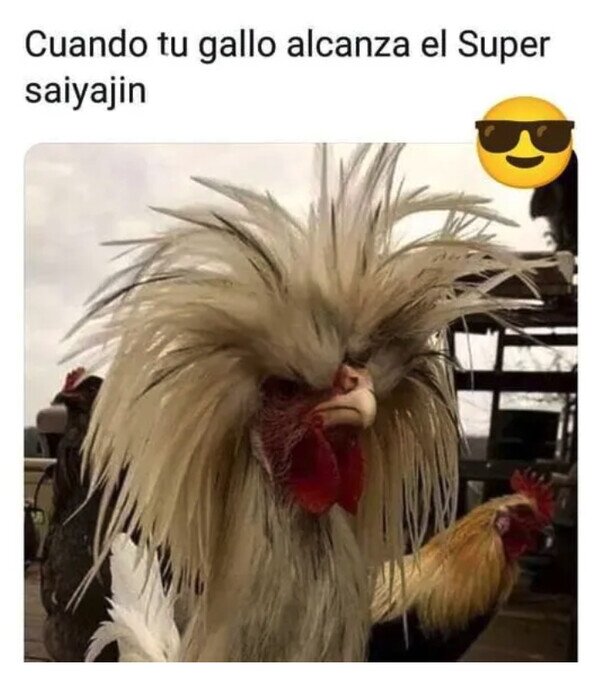 Meme_otros - La forma final