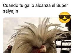 Enlace a La forma final