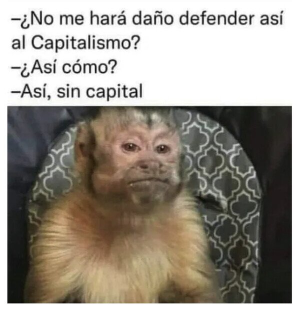 Meme_otros - No suele funcionar