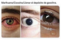 Enlace a Efectos en la visión