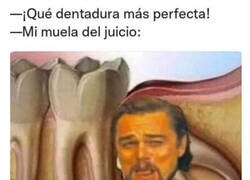 Enlace a No tan perfecta