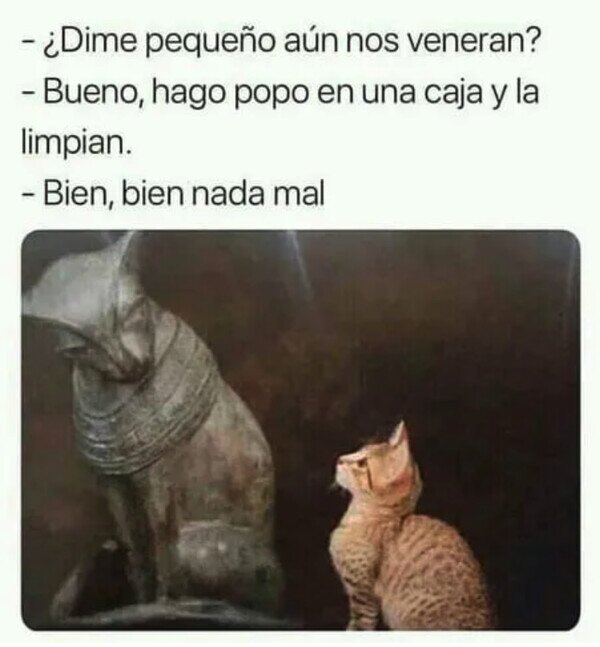 Meme_otros - Los humanos seguimos sometidos